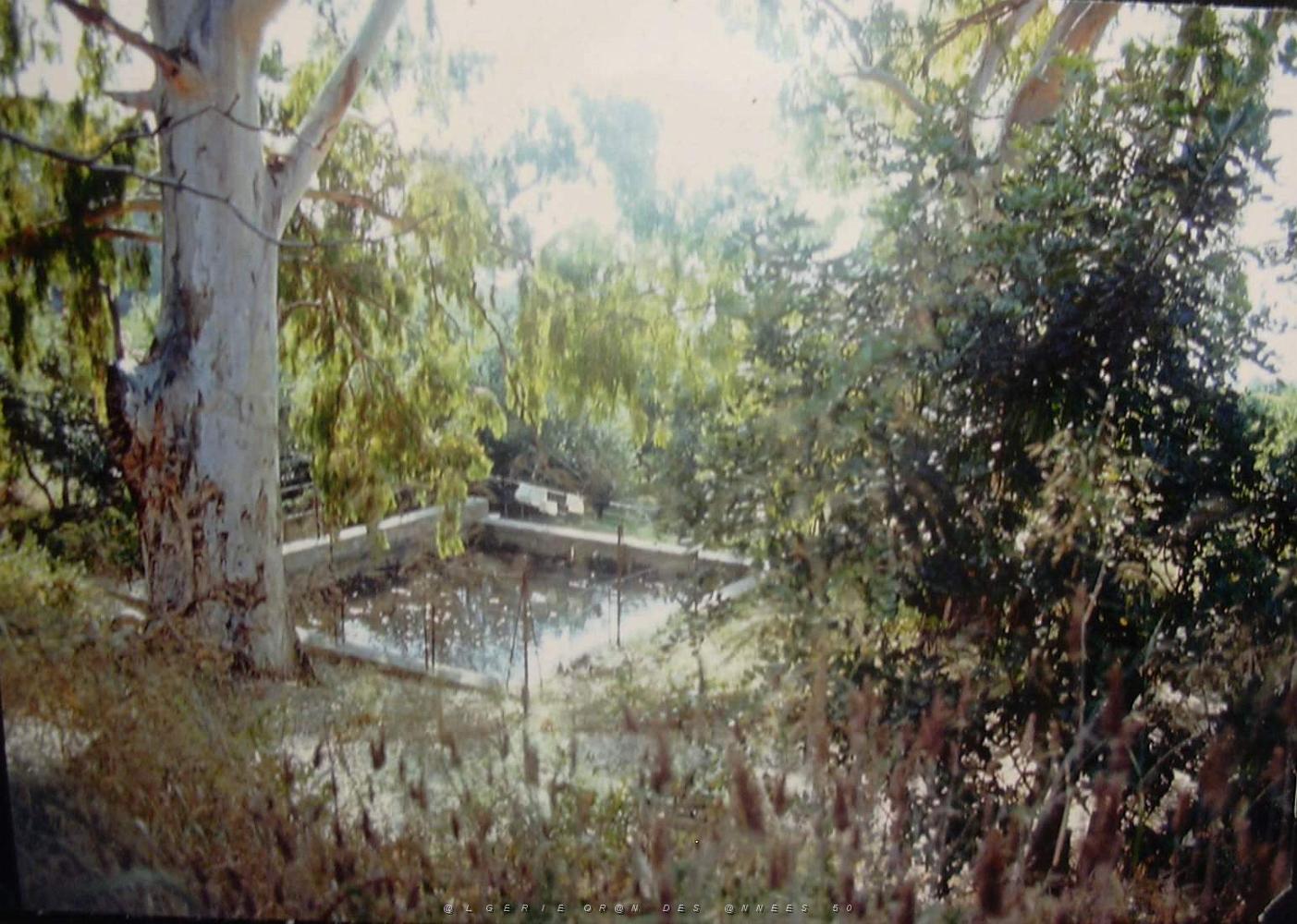 CRISTAL LIMINANA (37) parEdouard Vasserot.JPG